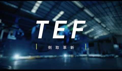 TEF Series Side Entry Robot